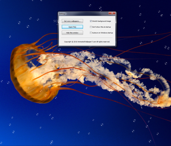Jelly Fish Animated Wallpaper screenshot