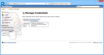 Jenkins screenshot 14