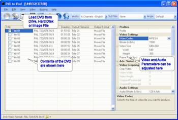 Jesterware DVD to iPod screenshot