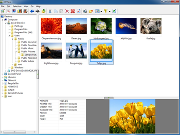 jjxview 64bit screenshot