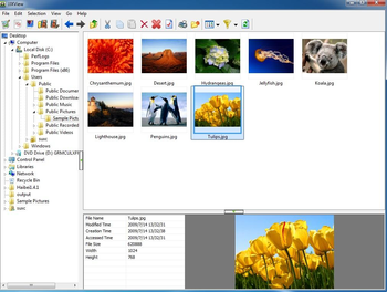 JJXView  screenshot 2