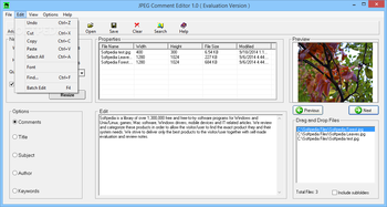 JPEG Comment Editor screenshot 3