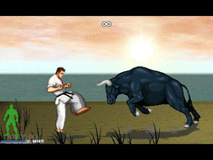 Karate Master screenshot 12