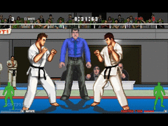 Karate Master screenshot 7