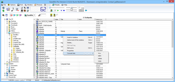 KaraWin Pro screenshot
