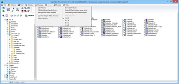 KaraWin Pro screenshot 6
