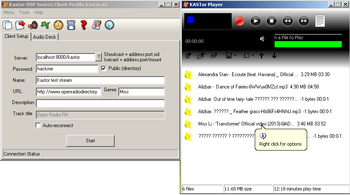 Kastor DSP Source Client screenshot