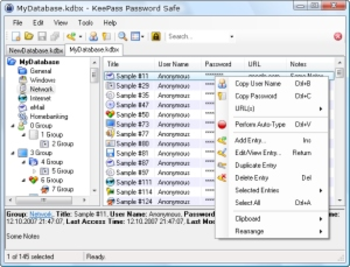 KeePass Password Safe Professional screenshot 2
