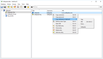 KeePassXC screenshot