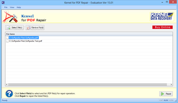 Kernel For PDF Repair screenshot