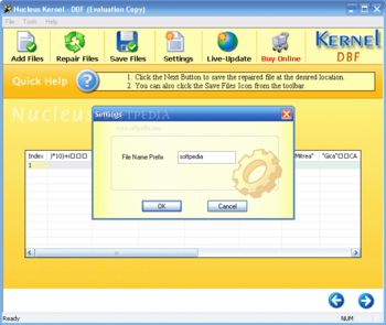 Kernel Recovery for DBF screenshot 2