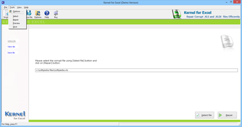 Kernel Recovery for Excel screenshot 5