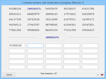 Keyboarding Skills Test screenshot 3