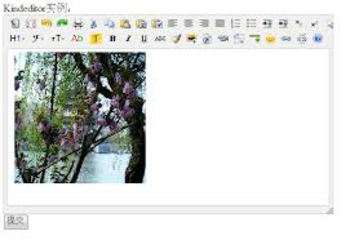 KindEditor screenshot
