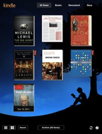 Kindle screenshot 5