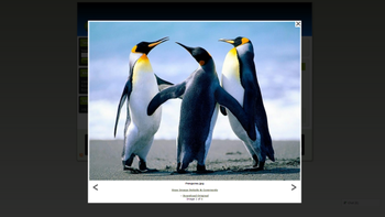 kloverpoint screenshot 4