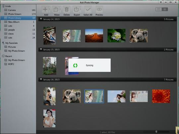 Koit Photo Manager screenshot