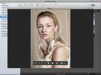 Koit Photo Manager screenshot 2