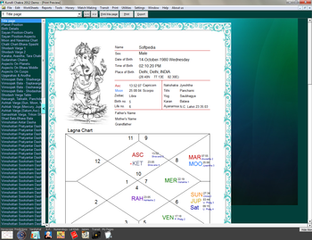 Kundli Chakra screenshot 3