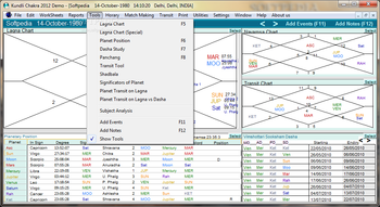 Kundli Chakra screenshot 6