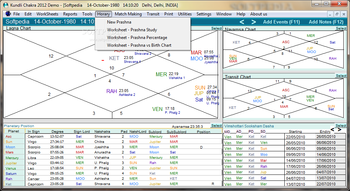 Kundli Chakra screenshot 7