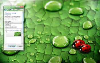 Ladybird and Raindrops screenshot
