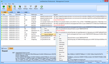 LanDetective Professional screenshot