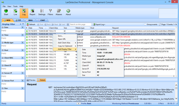 LanDetective Professional screenshot 4