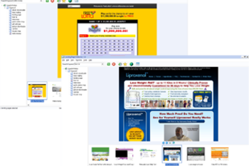 Landing Page Collector screenshot 2