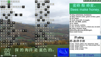 Language Quotient by MoraffWare screenshot 2