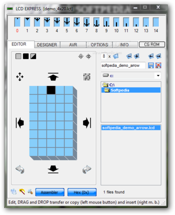 LCD EXPRESS screenshot