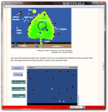 Leaf Photosynthesis screenshot