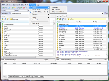 LeapFTP screenshot 9