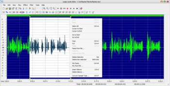 Leapic Audio Editor screenshot