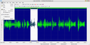 Leapic Audio Editor screenshot 2