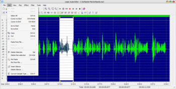 Leapic Audio Editor screenshot 3