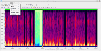Leapic Audio Editor screenshot 5