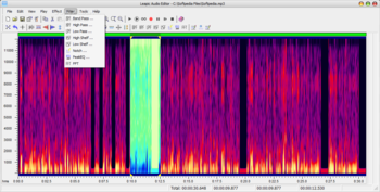 Leapic Audio Editor screenshot 7