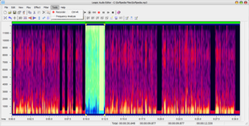 Leapic Audio Editor screenshot 8