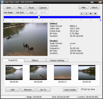 Leapic Video Cutter screenshot 2