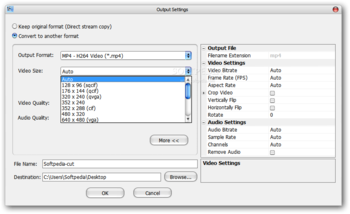 Leapic Video Cutter screenshot 4