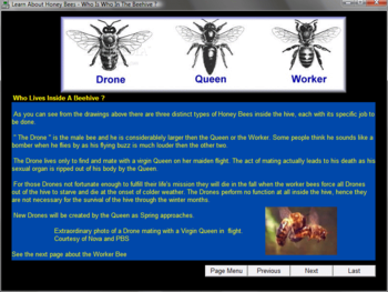 Learn About Honey Bees screenshot 2