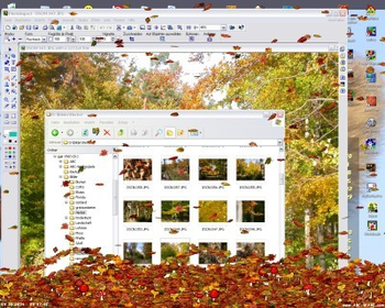 Leaves Screensaver screenshot 1