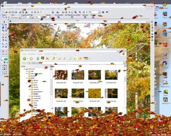 Leaves Screensaver screenshot