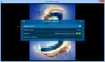 Leawo Blu-ray Player screenshot 5