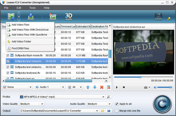 Leawo FLV Converter screenshot 2