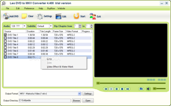 Leo DVD to MKV Converter screenshot