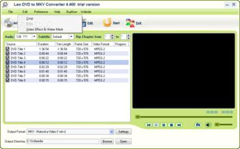 Leo DVD to MKV Converter screenshot 3