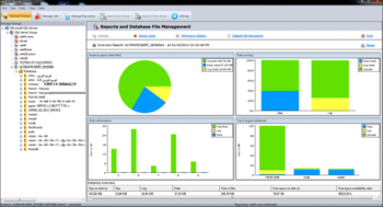 Lepide SQL Storage Manager screenshot