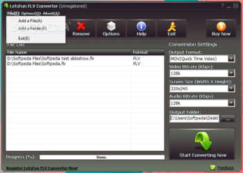 LetsFun FLV Converter screenshot 2